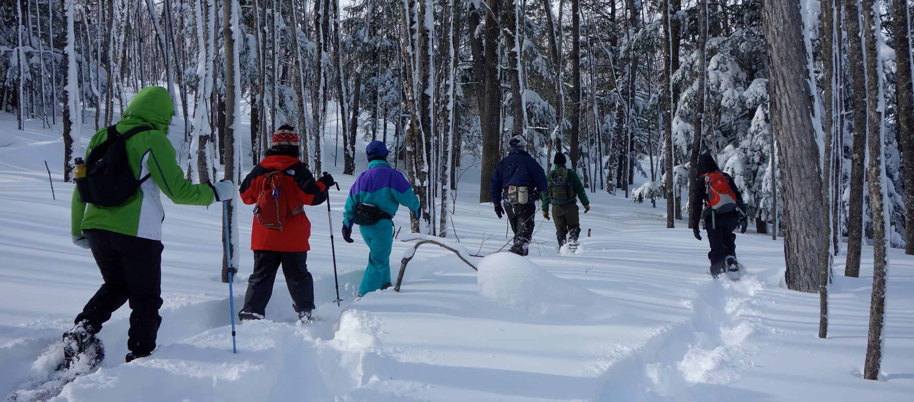 Ski/Snowshoe/Hike — Lake Maria State Park, MN » Minnesota Rovers